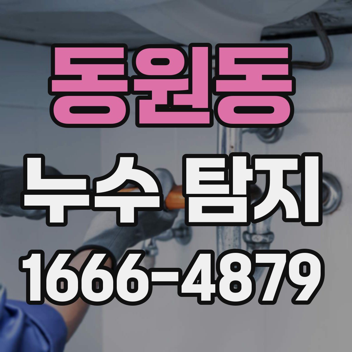 동원동 누수 탐지
