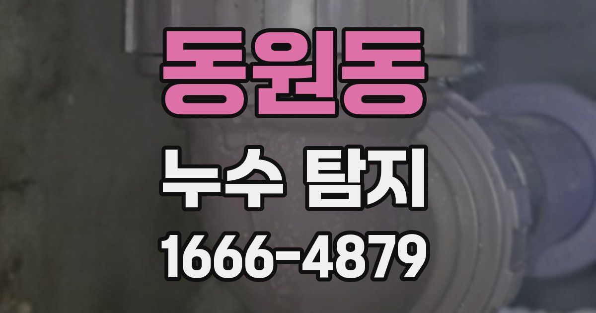 동원동 누수 탐지