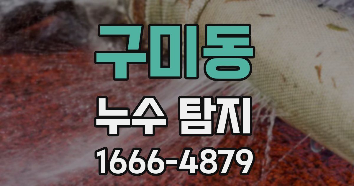구미동 누수 탐지