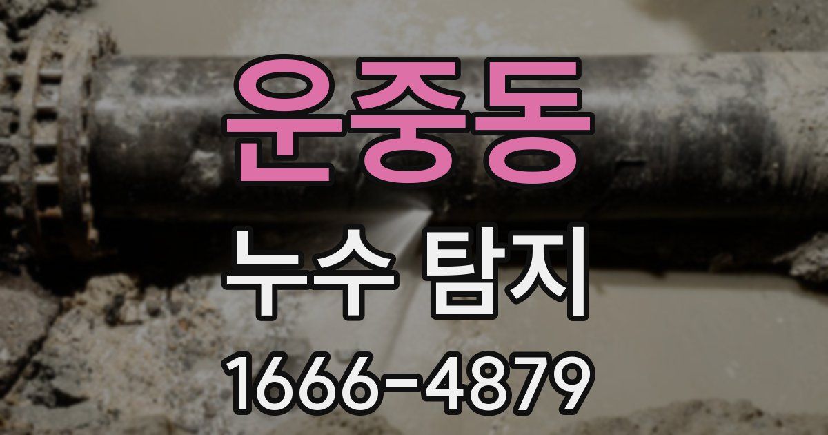 운중동 누수 탐지