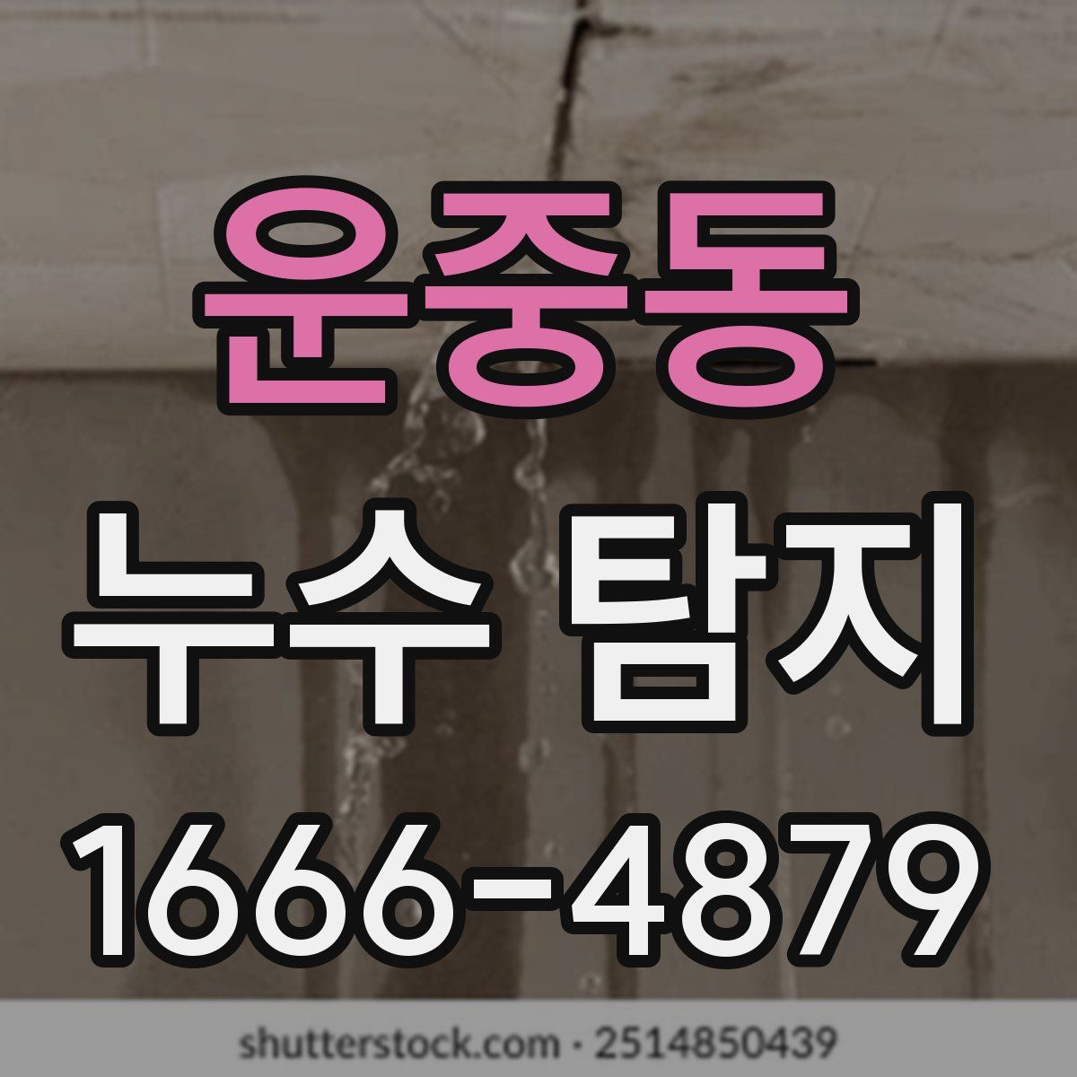 운중동 누수 탐지