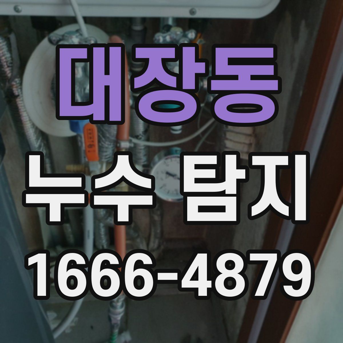 대장동 누수 탐지