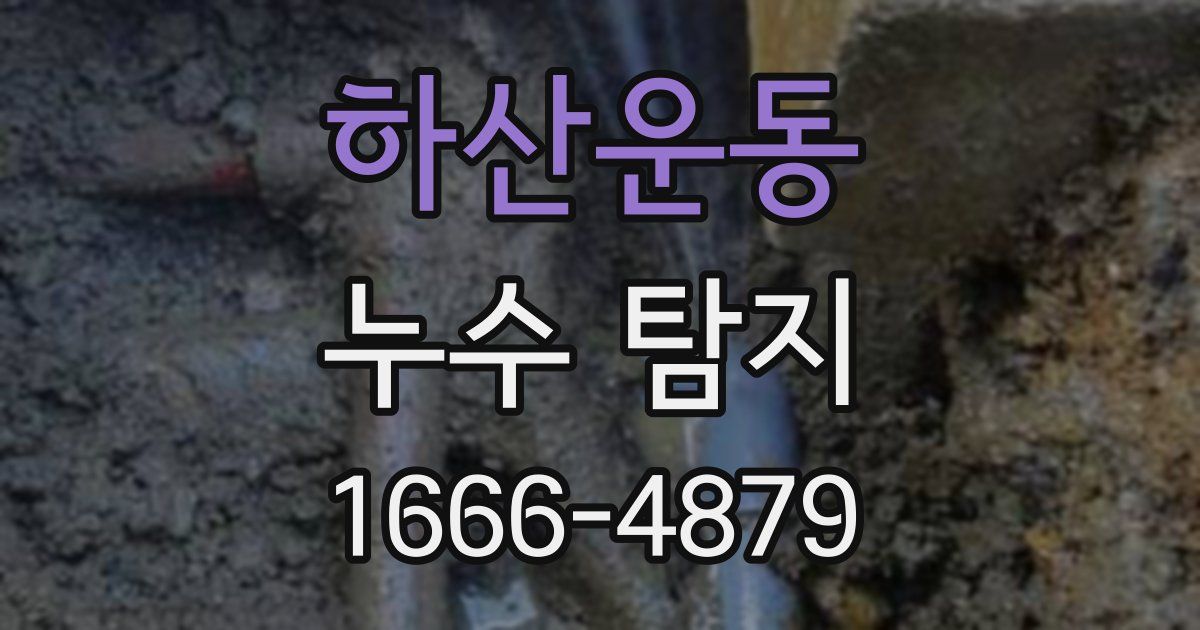 하산운동 누수 탐지