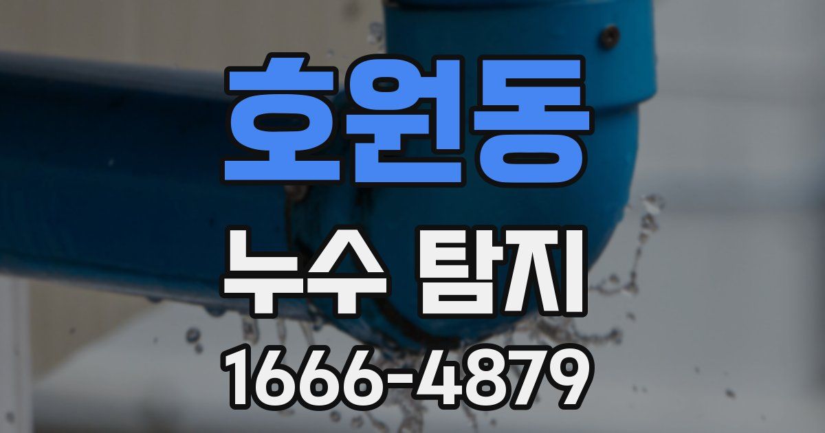 호원동 누수 탐지