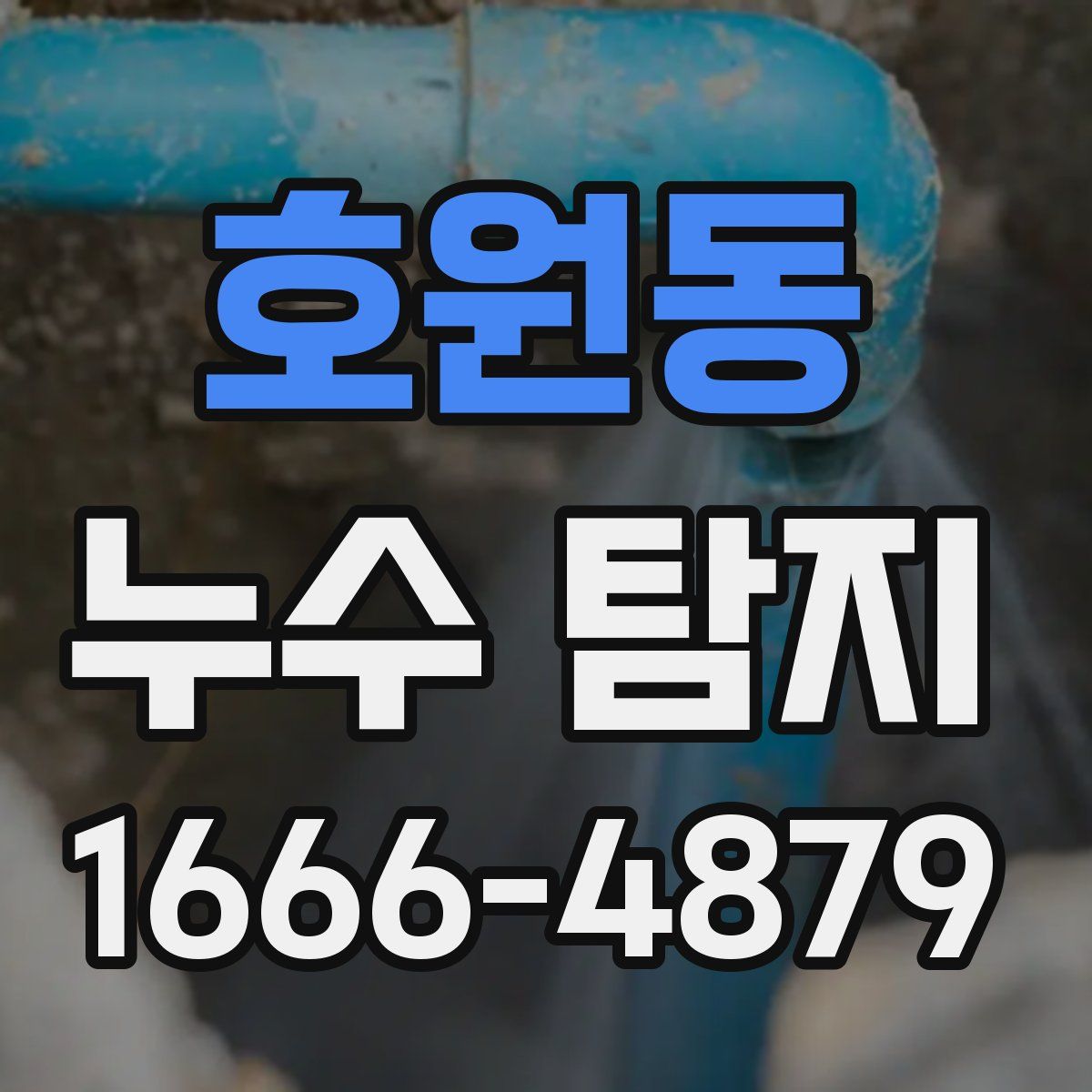 호원동 누수 탐지