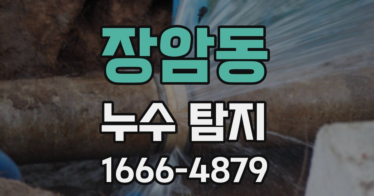 장암동 누수 탐지
