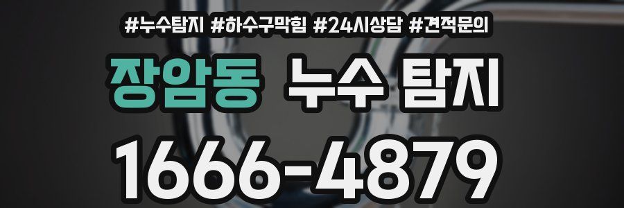 장암동 누수 탐지