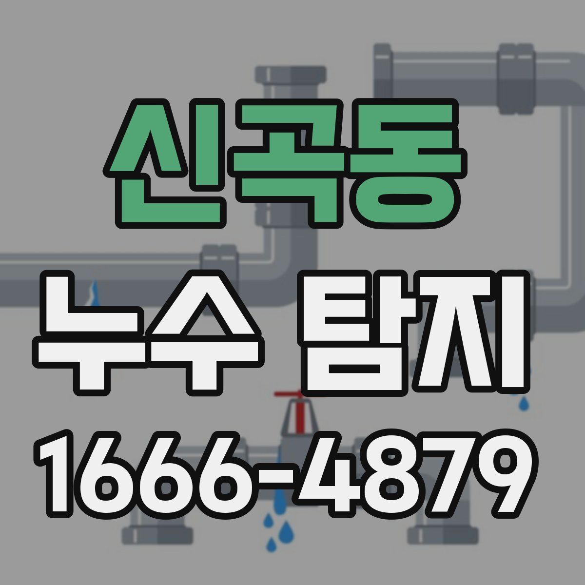 신곡동 누수 탐지