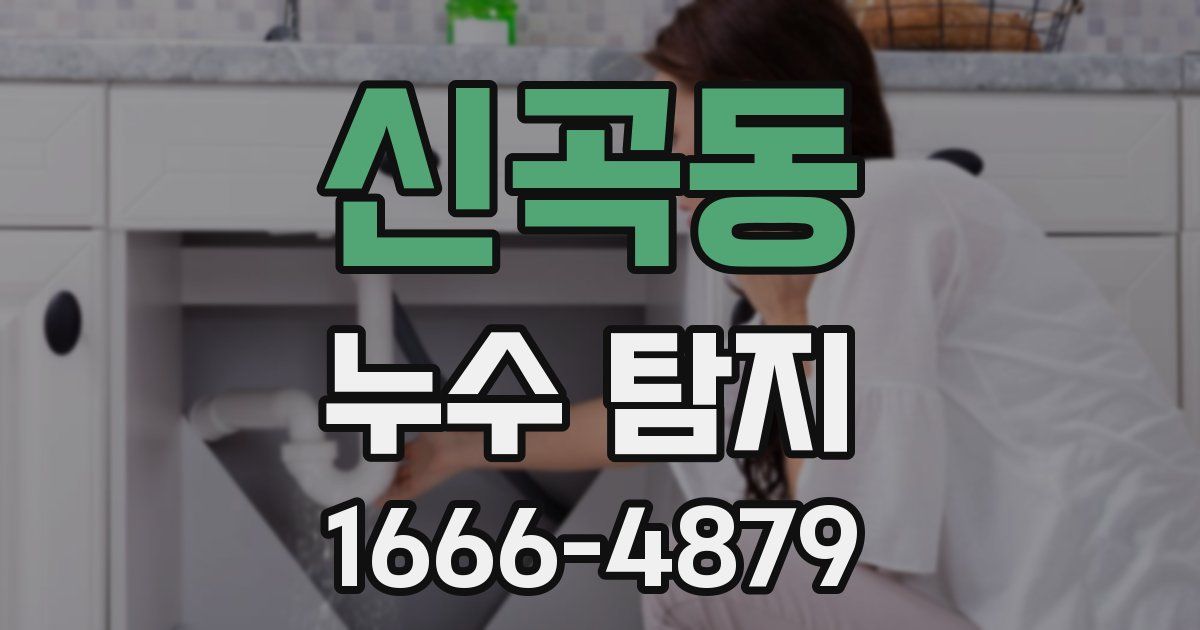 신곡동 누수 탐지