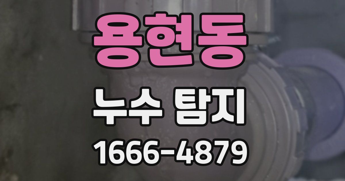 용현동 누수 탐지