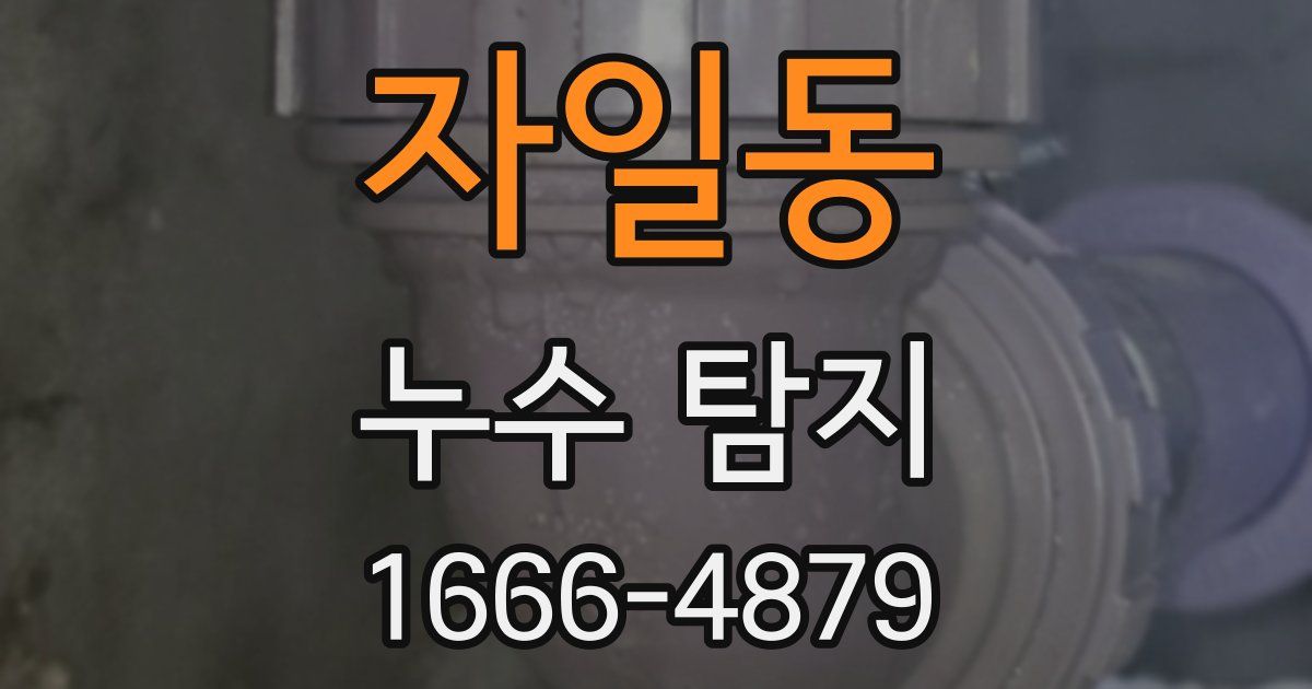 자일동 누수 탐지