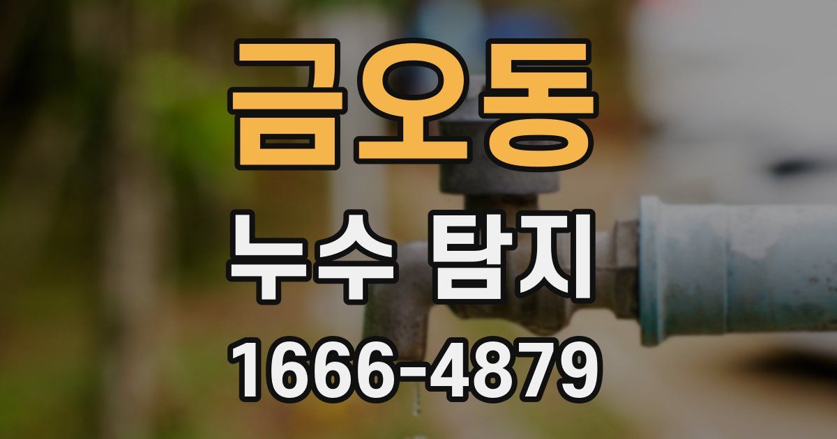 금오동 누수 탐지