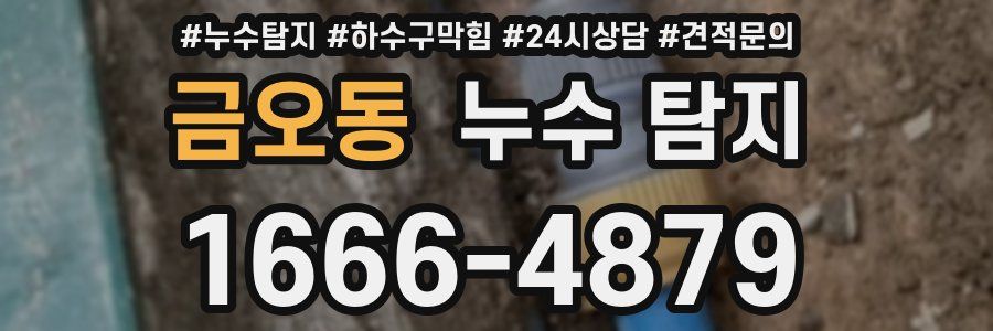 금오동 누수 탐지