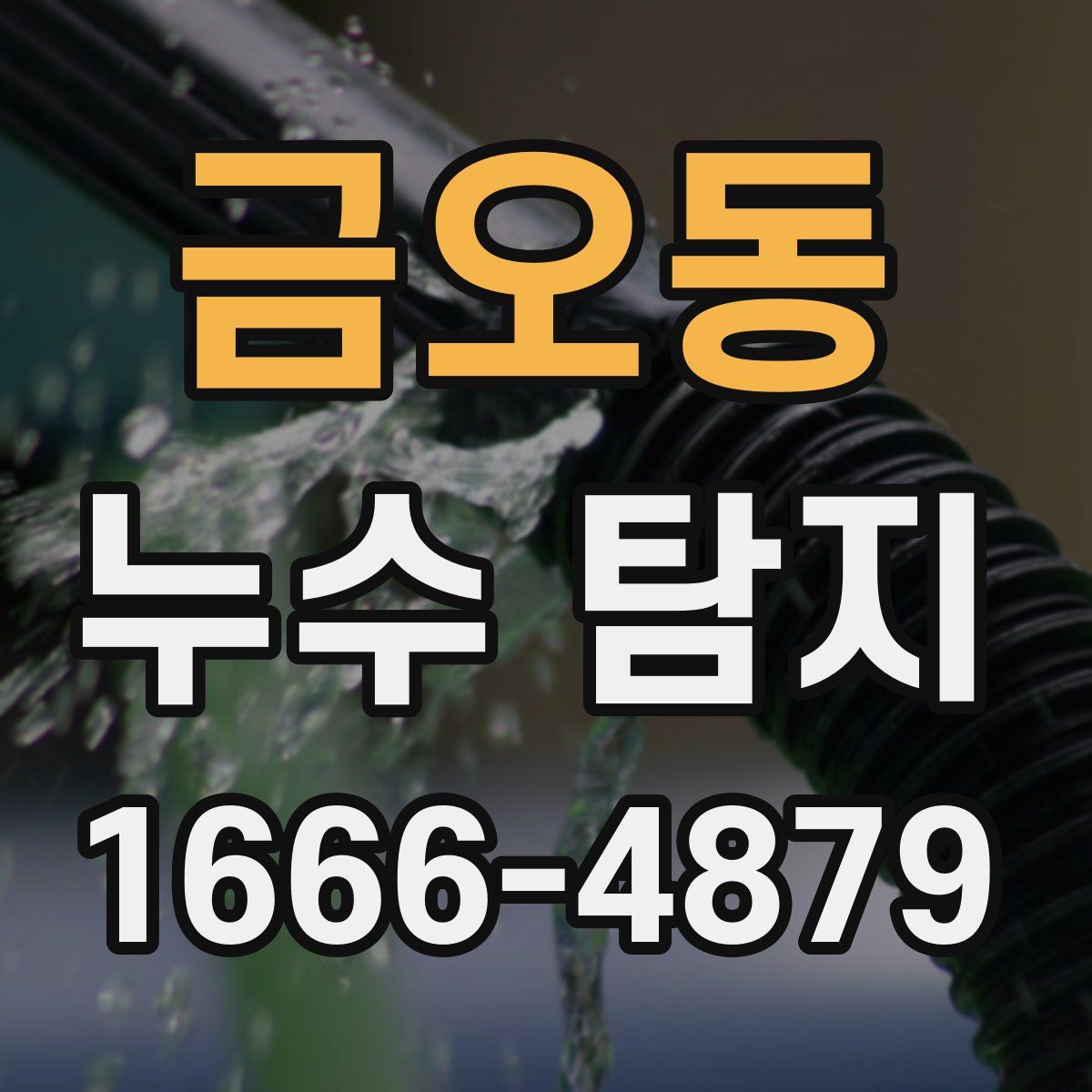 금오동 누수 탐지