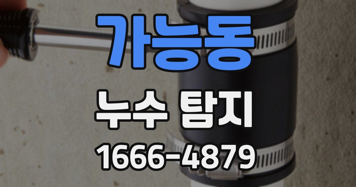 가능동 누수 탐지