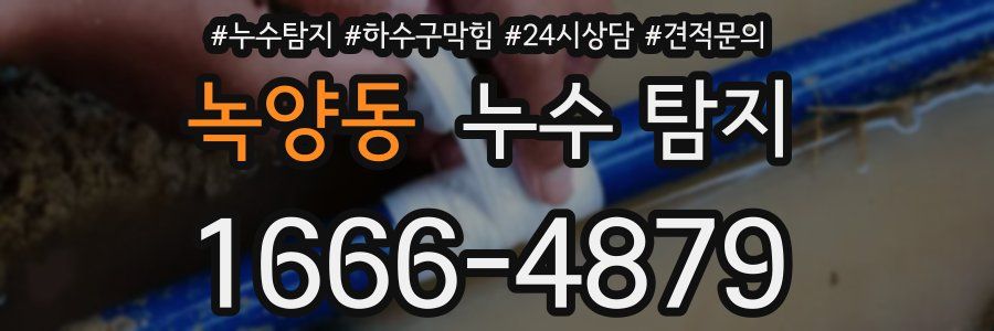 녹양동 누수 탐지