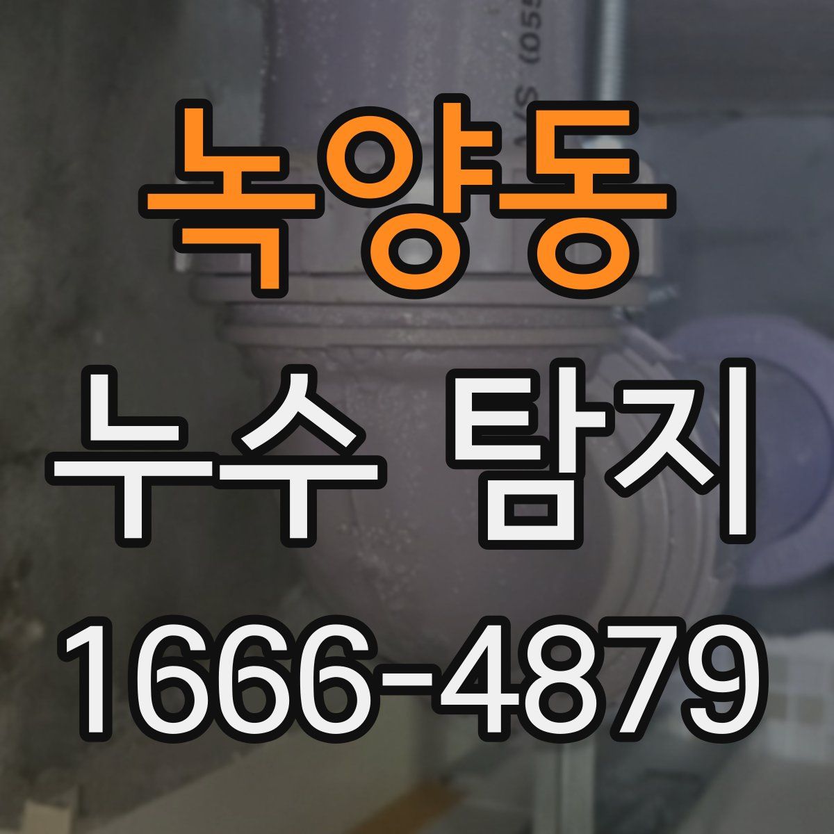 녹양동 누수 탐지