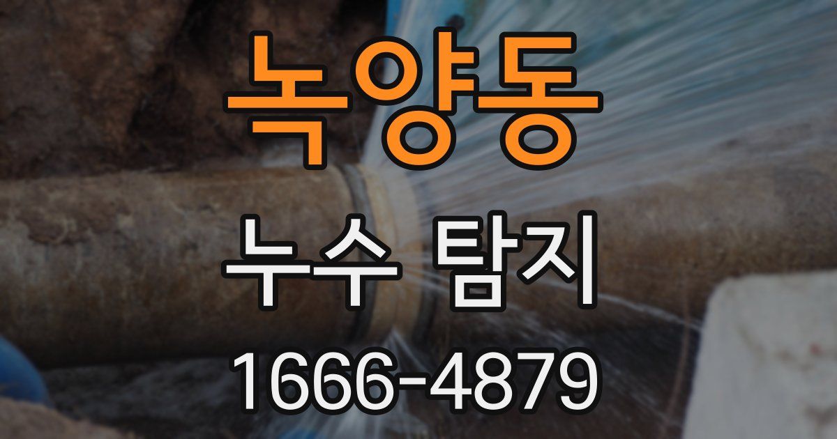 녹양동 누수 탐지