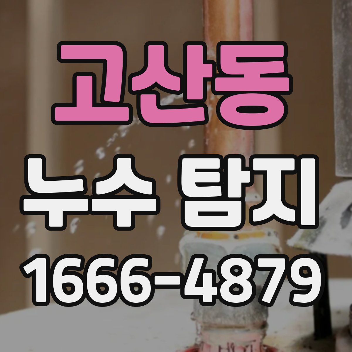 고산동 누수 탐지