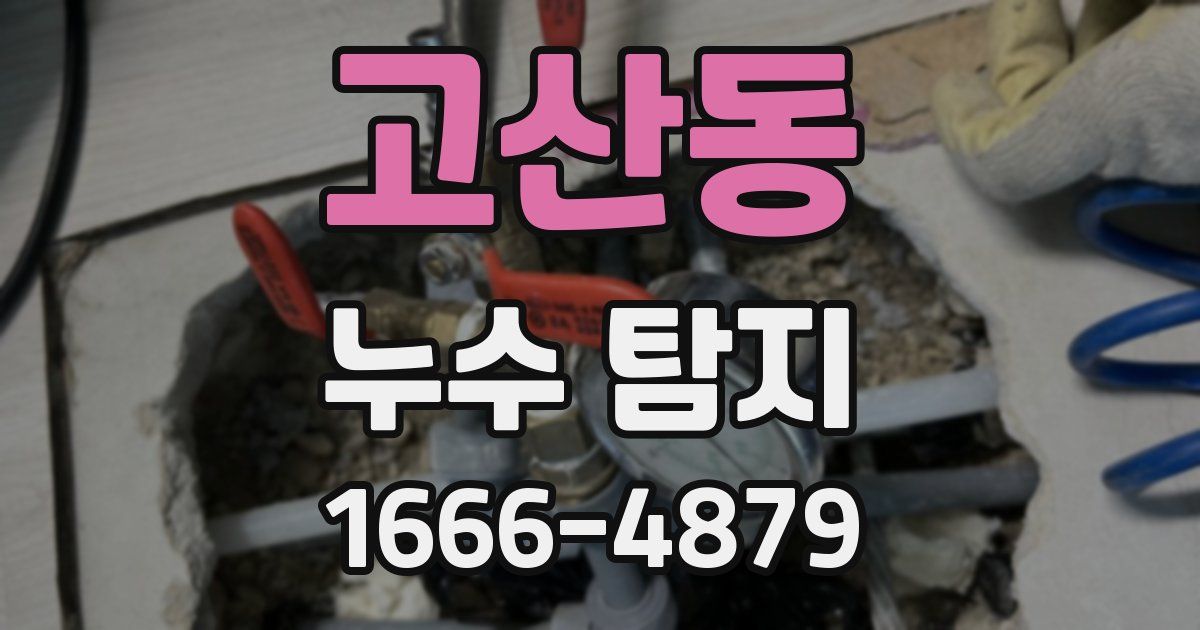 고산동 누수 탐지