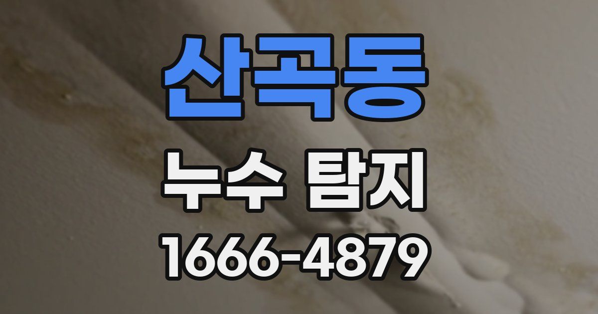 산곡동 누수 탐지