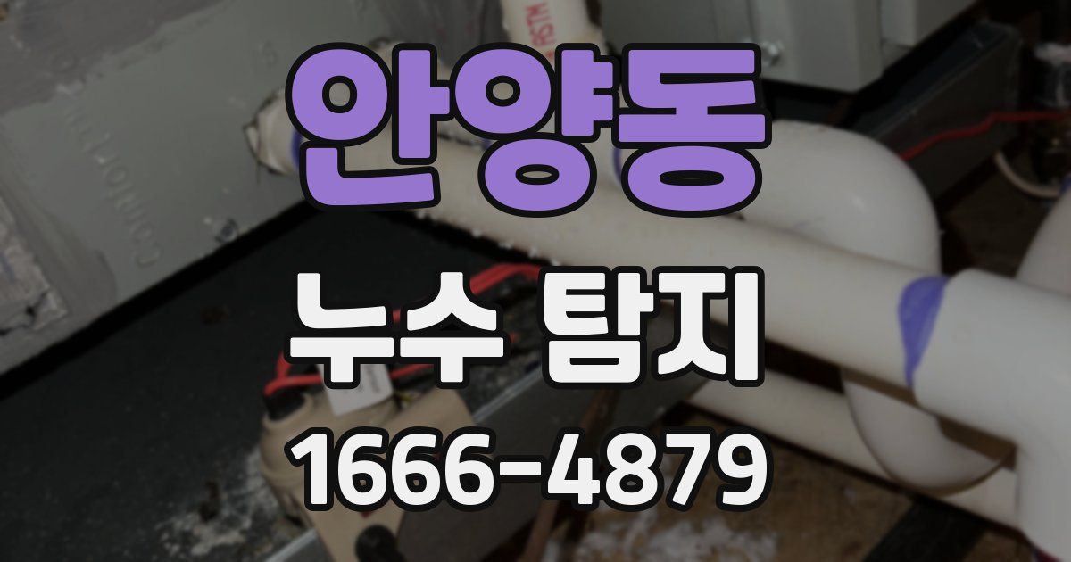 안양동 누수 탐지