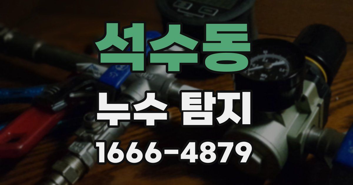 석수동 누수 탐지