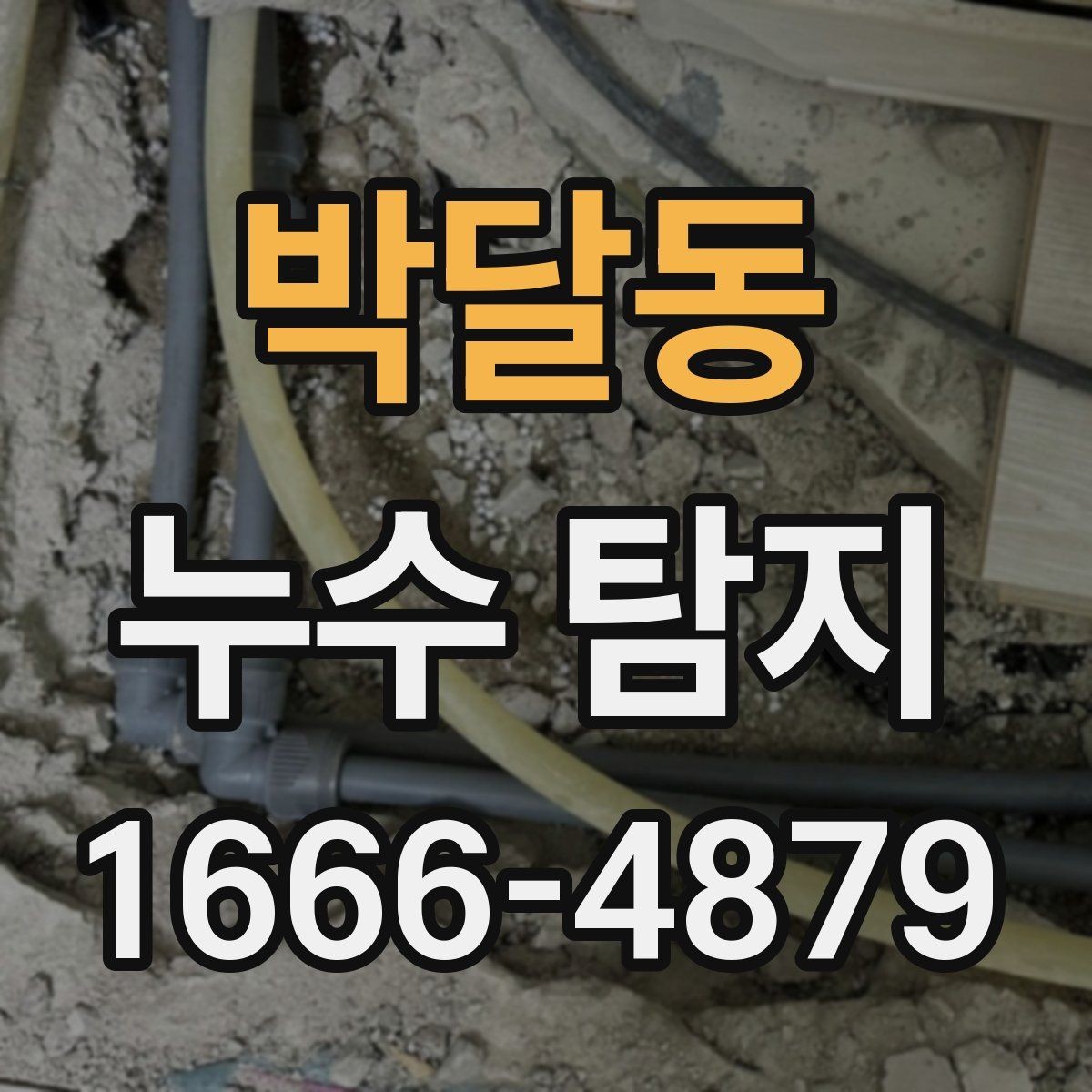 박달동 누수 탐지 결과를 해석하는 방법