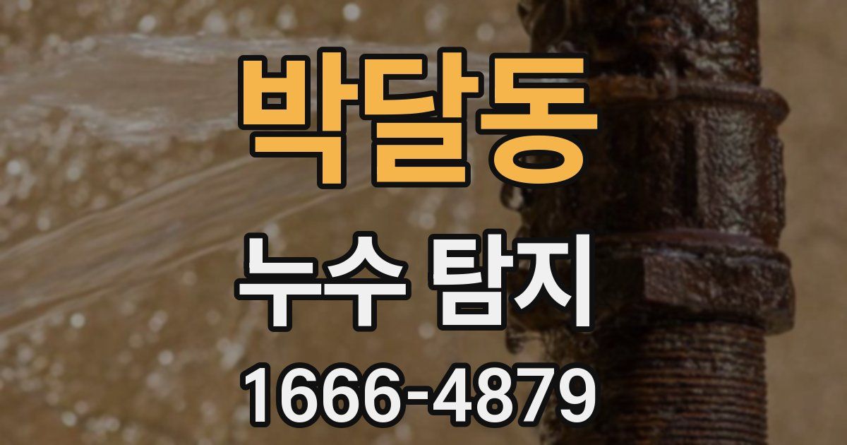 박달동 누수 탐지