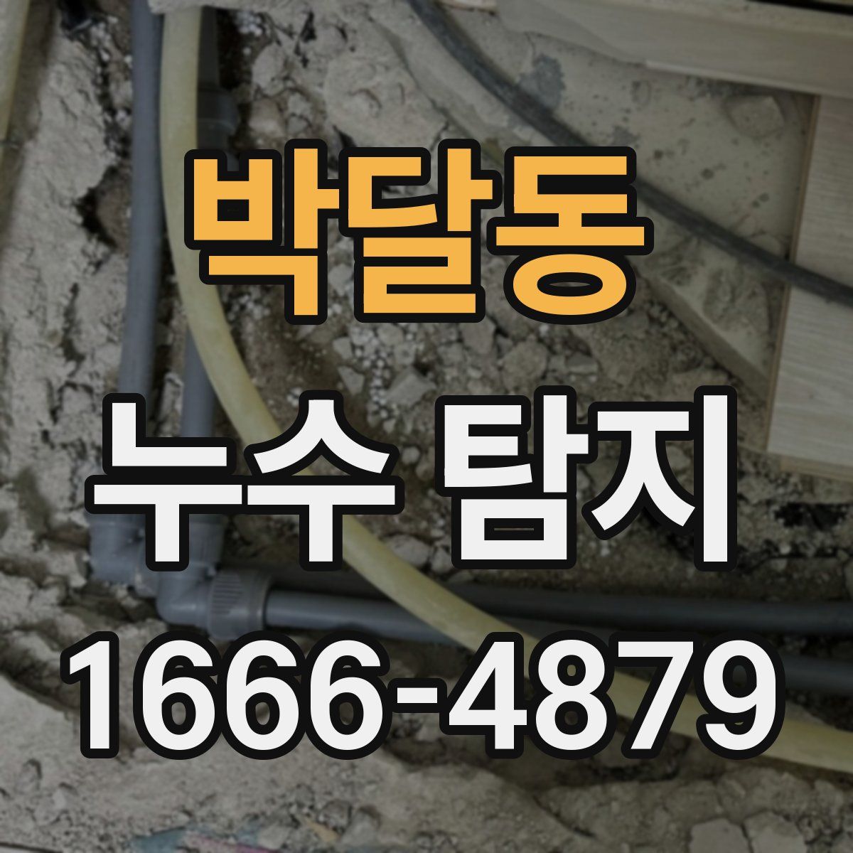박달동 누수 탐지