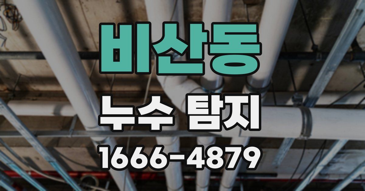 비산동 누수 탐지