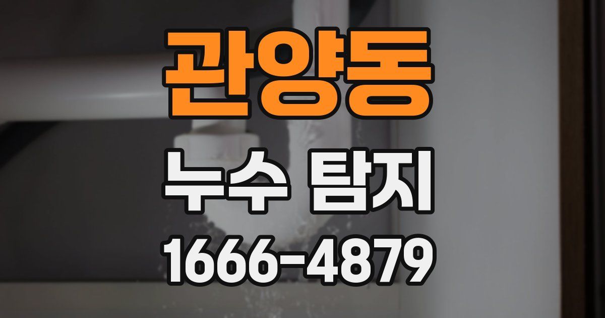 관양동 누수 탐지