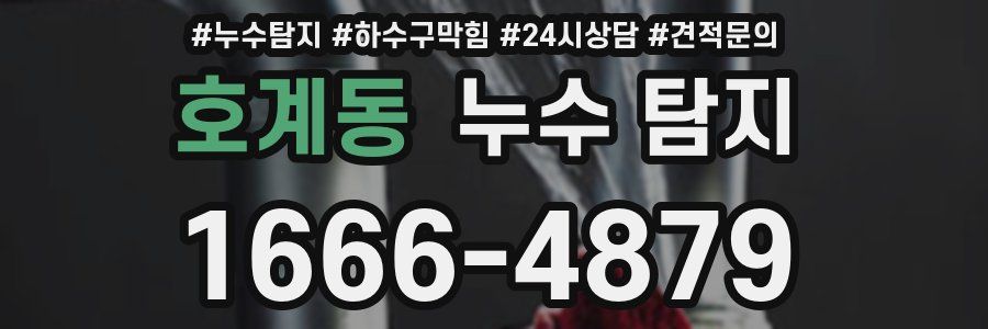 호계동 누수 탐지
