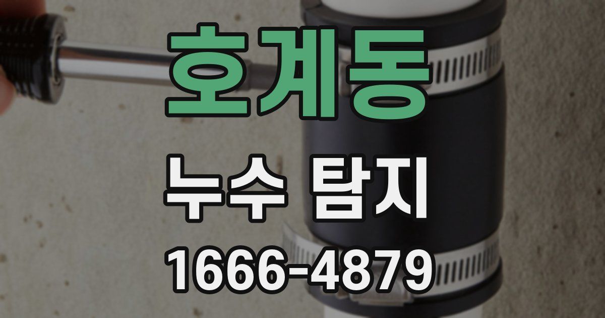 호계동 누수 탐지