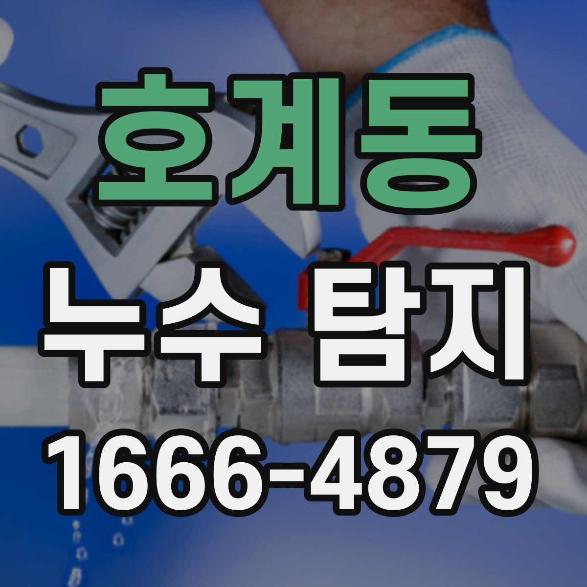 호계동 누수 탐지