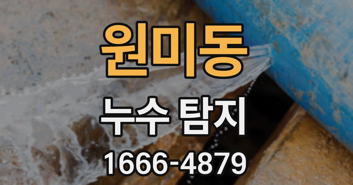 원미동 누수 탐지