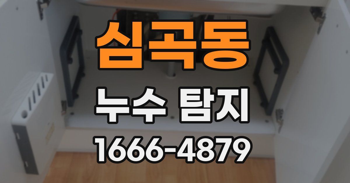 심곡동 누수 탐지