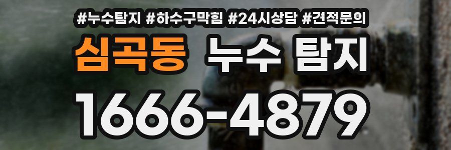 심곡동 누수 탐지
