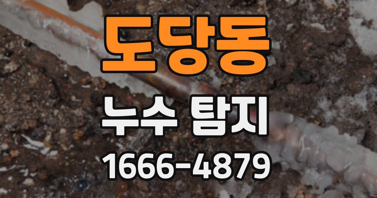 도당동 누수 탐지