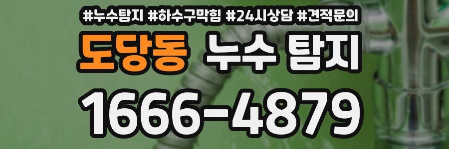 도당동 누수 탐지