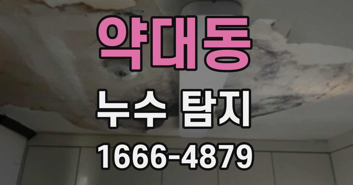 약대동 누수 탐지