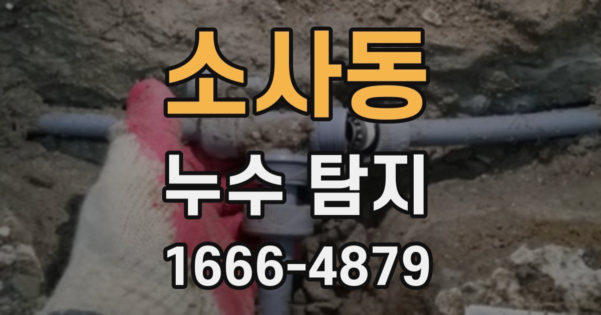 소사동 누수 탐지
