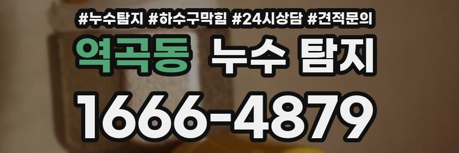 역곡동 누수 탐지