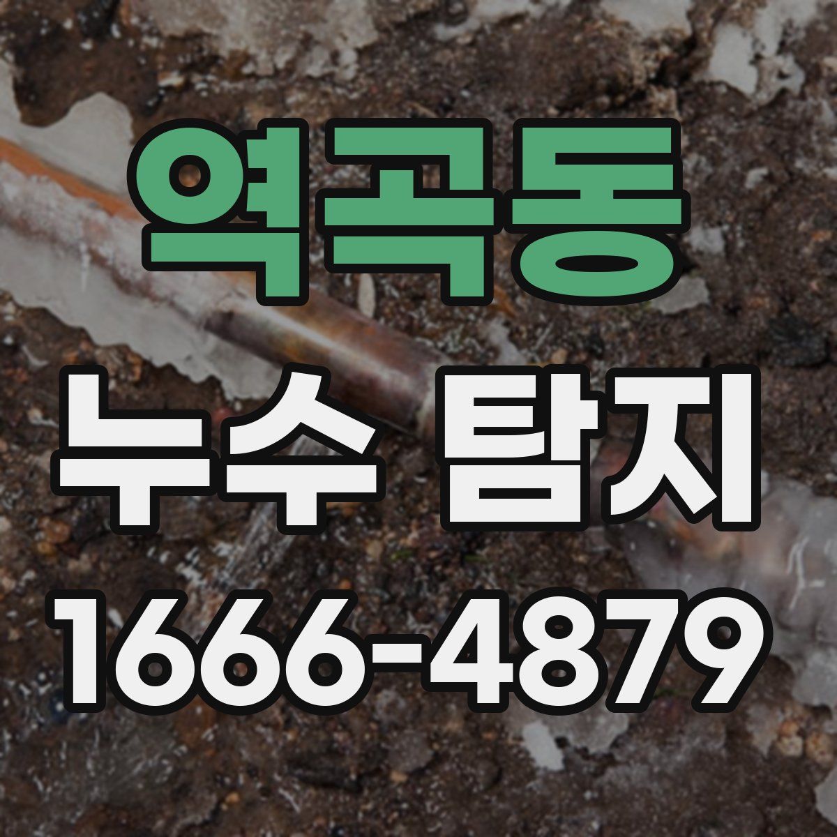 역곡동 누수 탐지
