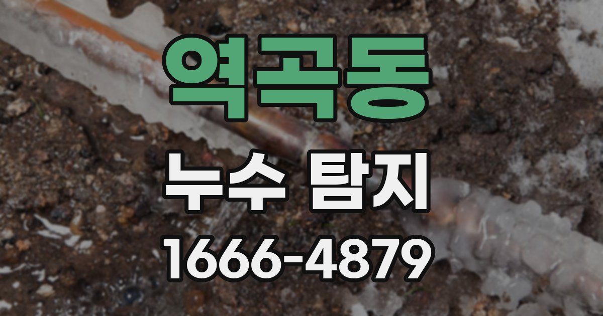 역곡동 누수 탐지
