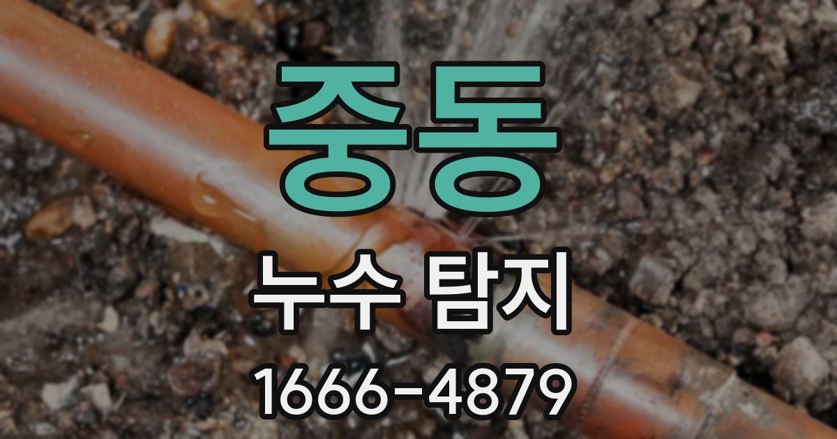 중동 누수 탐지