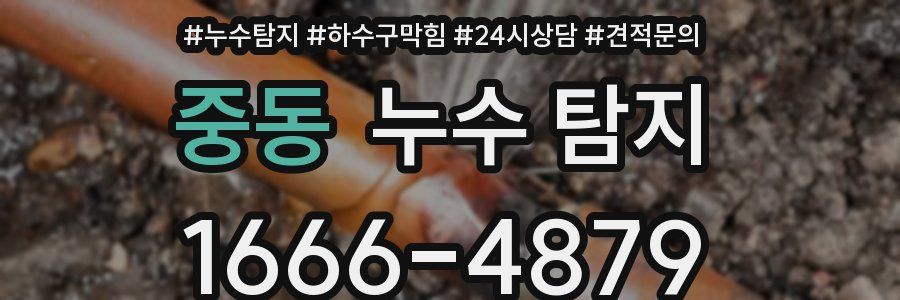 중동 누수 탐지