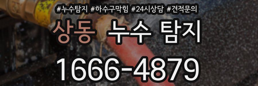 상동 누수 탐지