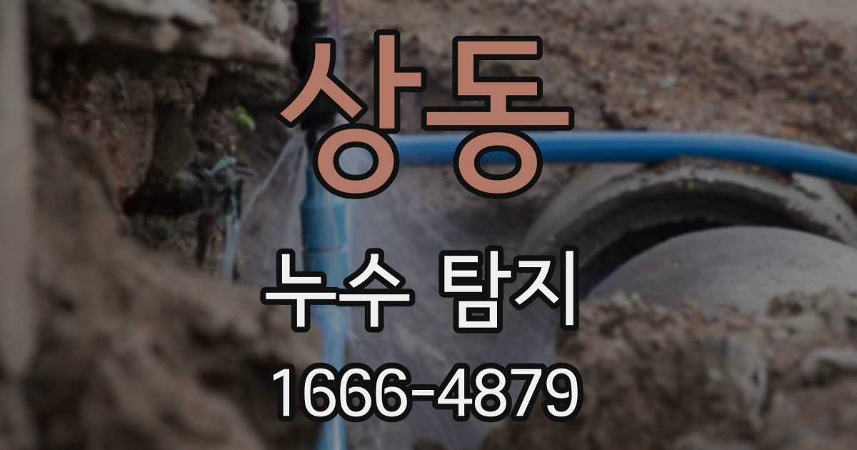 상동 누수 탐지