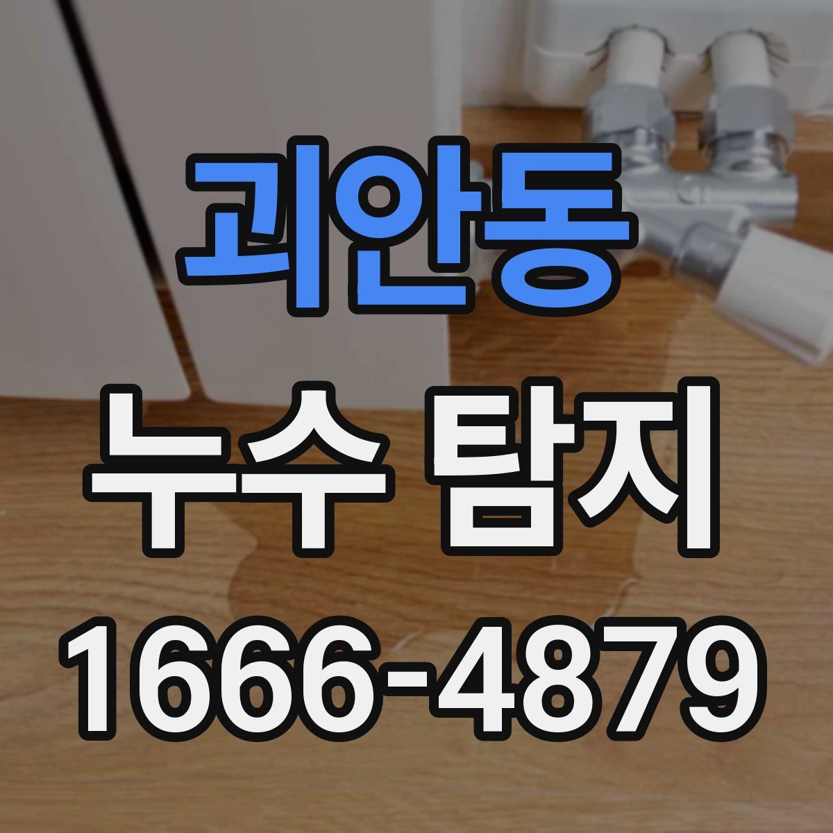 괴안동 누수 탐지